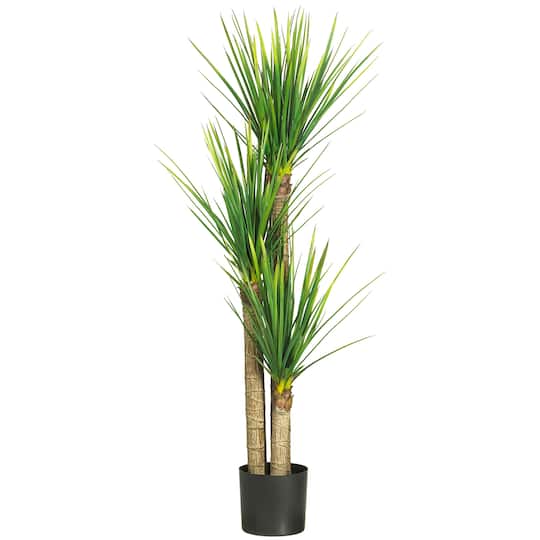 4.8ft. Potted Yucca Tree
